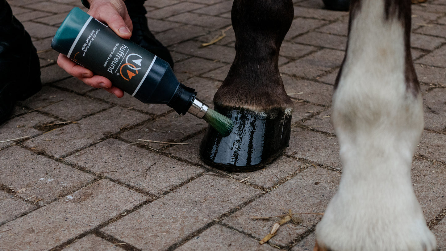 huffreund-Pinselfalsche Huffreund Pro in Anwendung mit Huföl auf einem Pferdehuf.