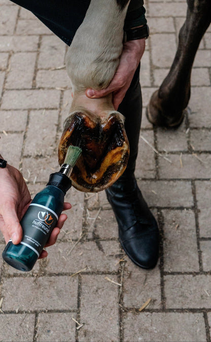 Huffreund Compact während der Anwendung unter dem Huf (Strahl) eines Pferdes mit Huföl. 