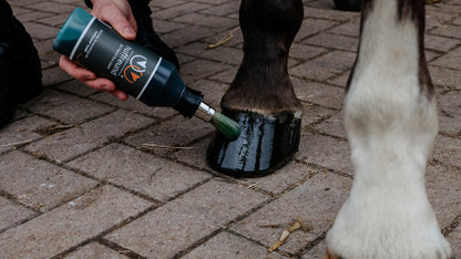 huffreund-Pinselfalsche Huffreund Pro in Anwendung mit Huföl auf einem Pferdehuf. 
