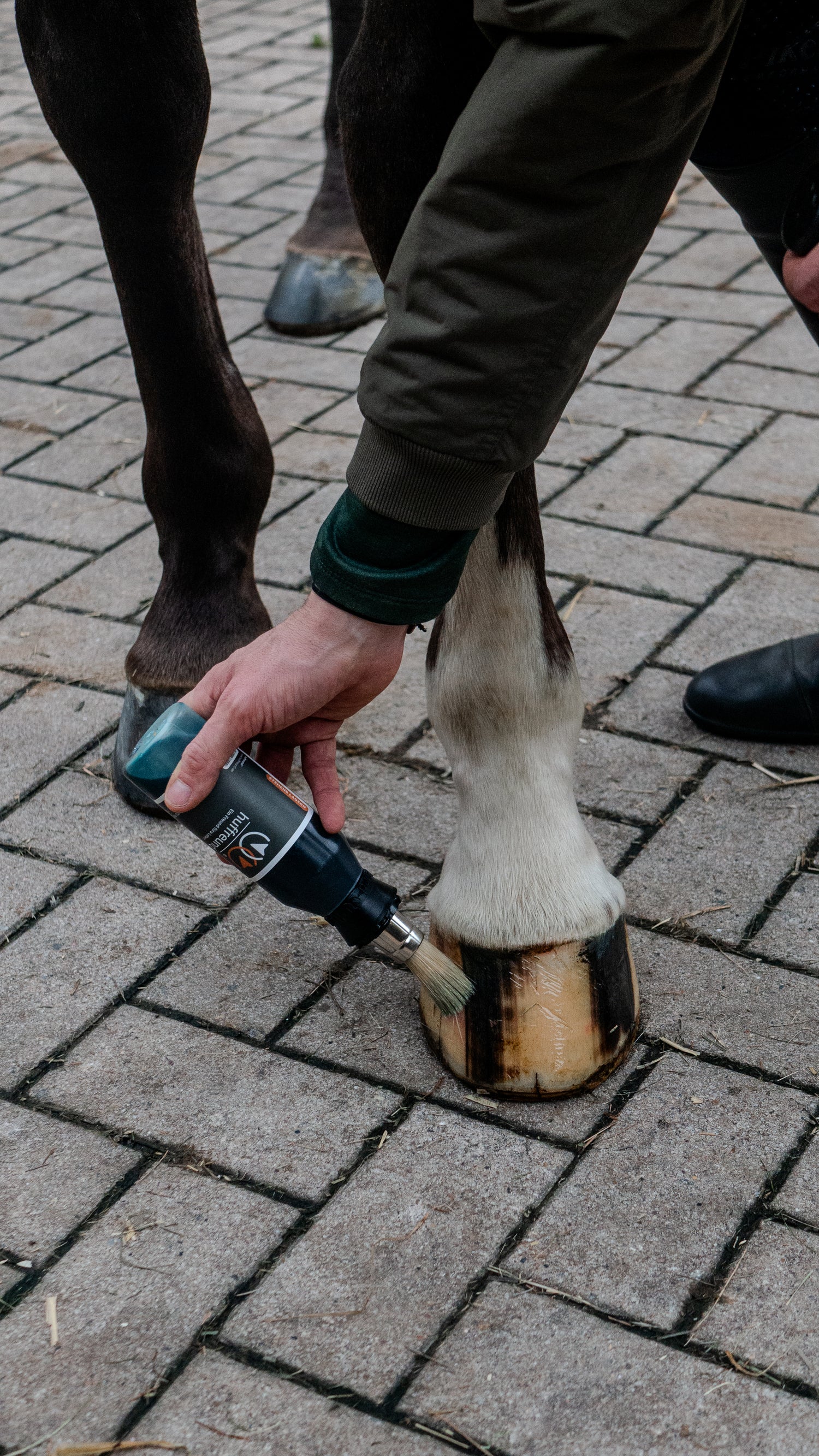 Anwendung des Huffreundes Compact auf einem Pferdehuf.