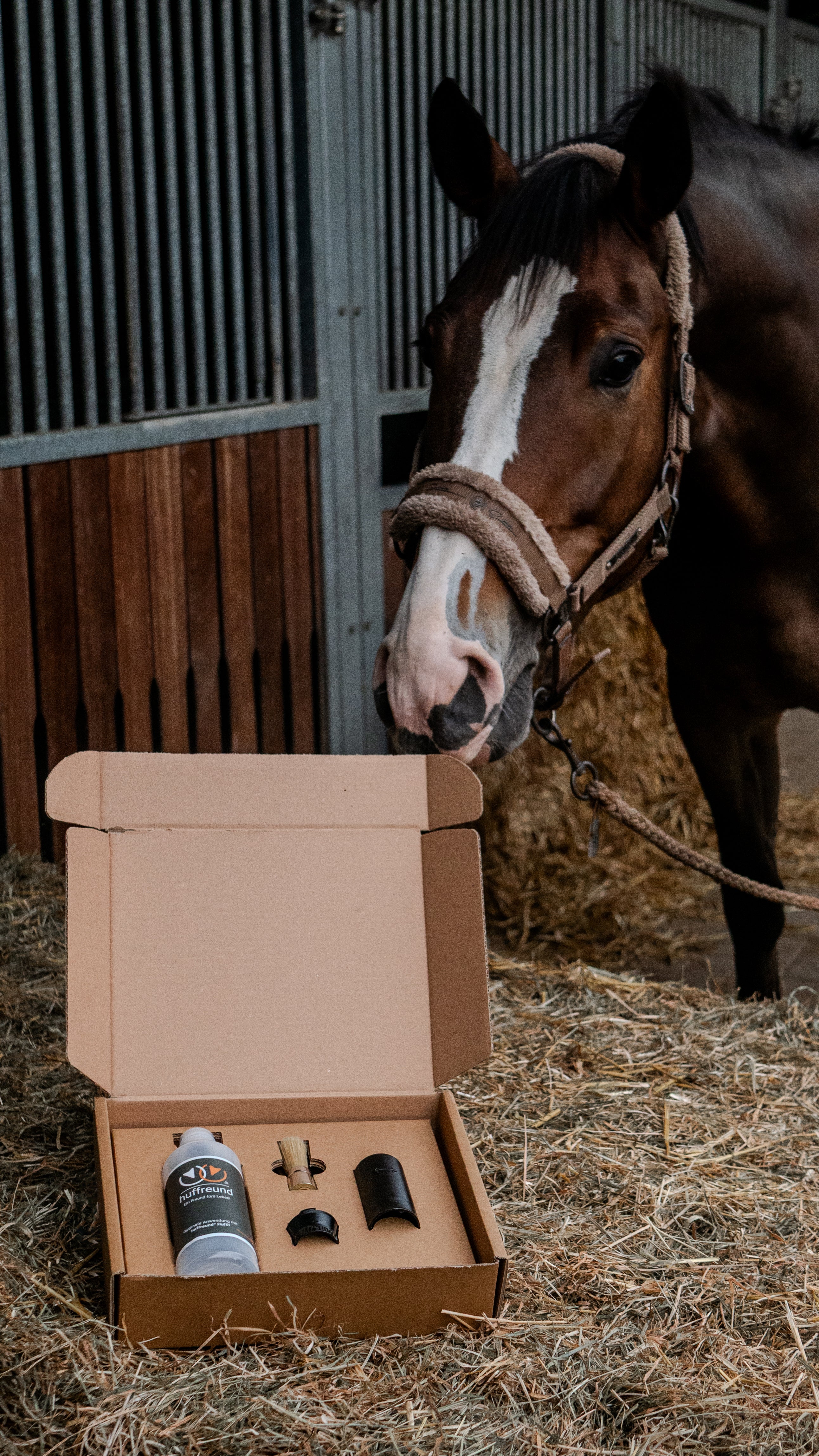 Huffreund Pro in Karton auf Heubund vor schnupperndem Pferdekopf im Hintergrund. 