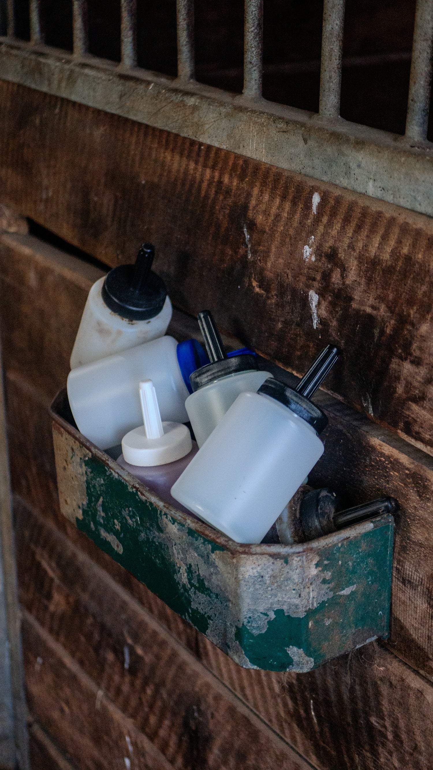 Leere Pinseldoosen von Huföl für Pferdehufe liegen gehäuft in einer Putzkiste, Stallungen im Hintergrund. 